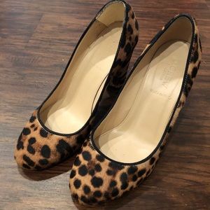J.Crew Etta chocolate leopard calf hair pumps
